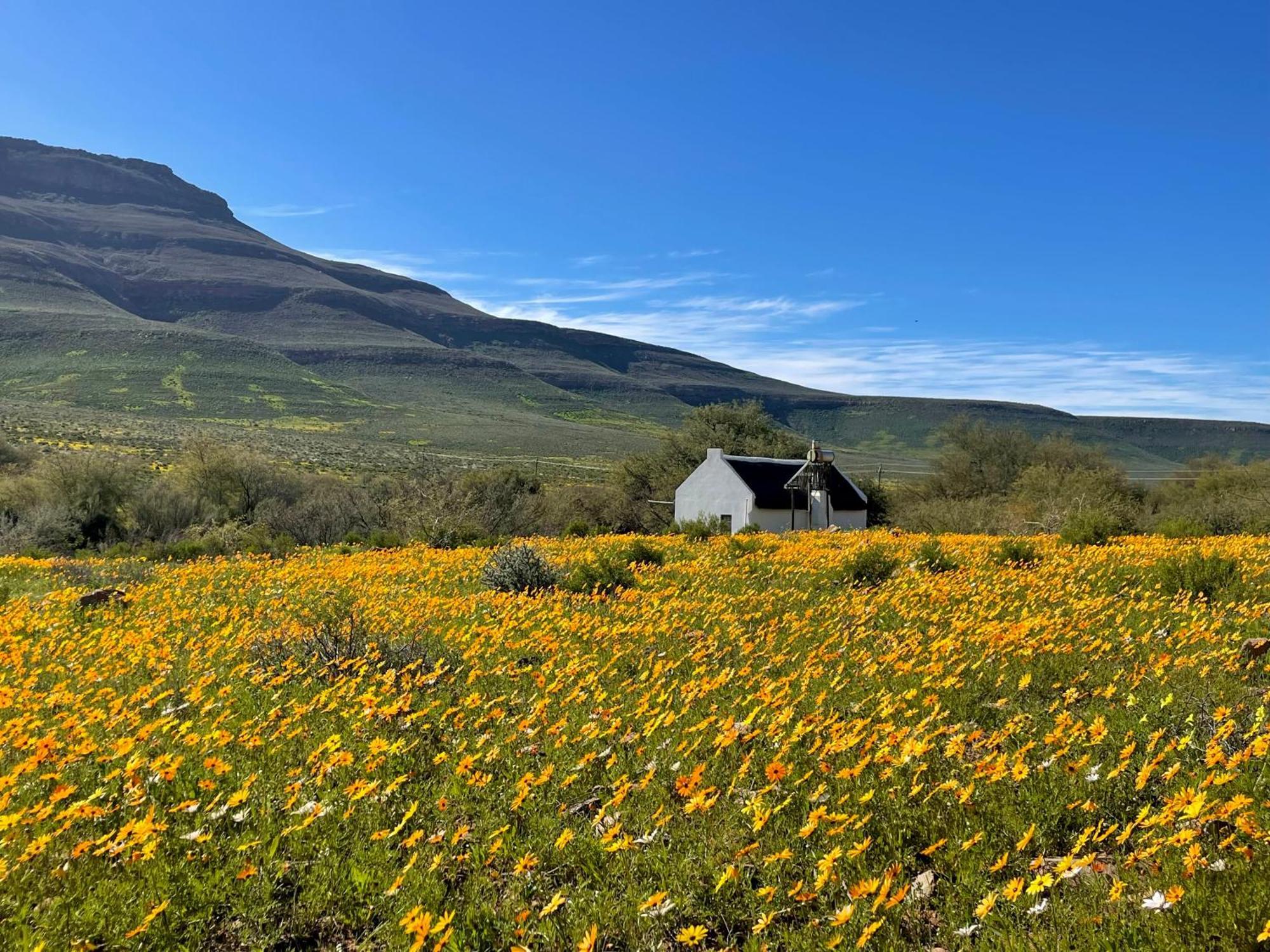 Enjo Nature Farm 克兰威廉 外观 照片