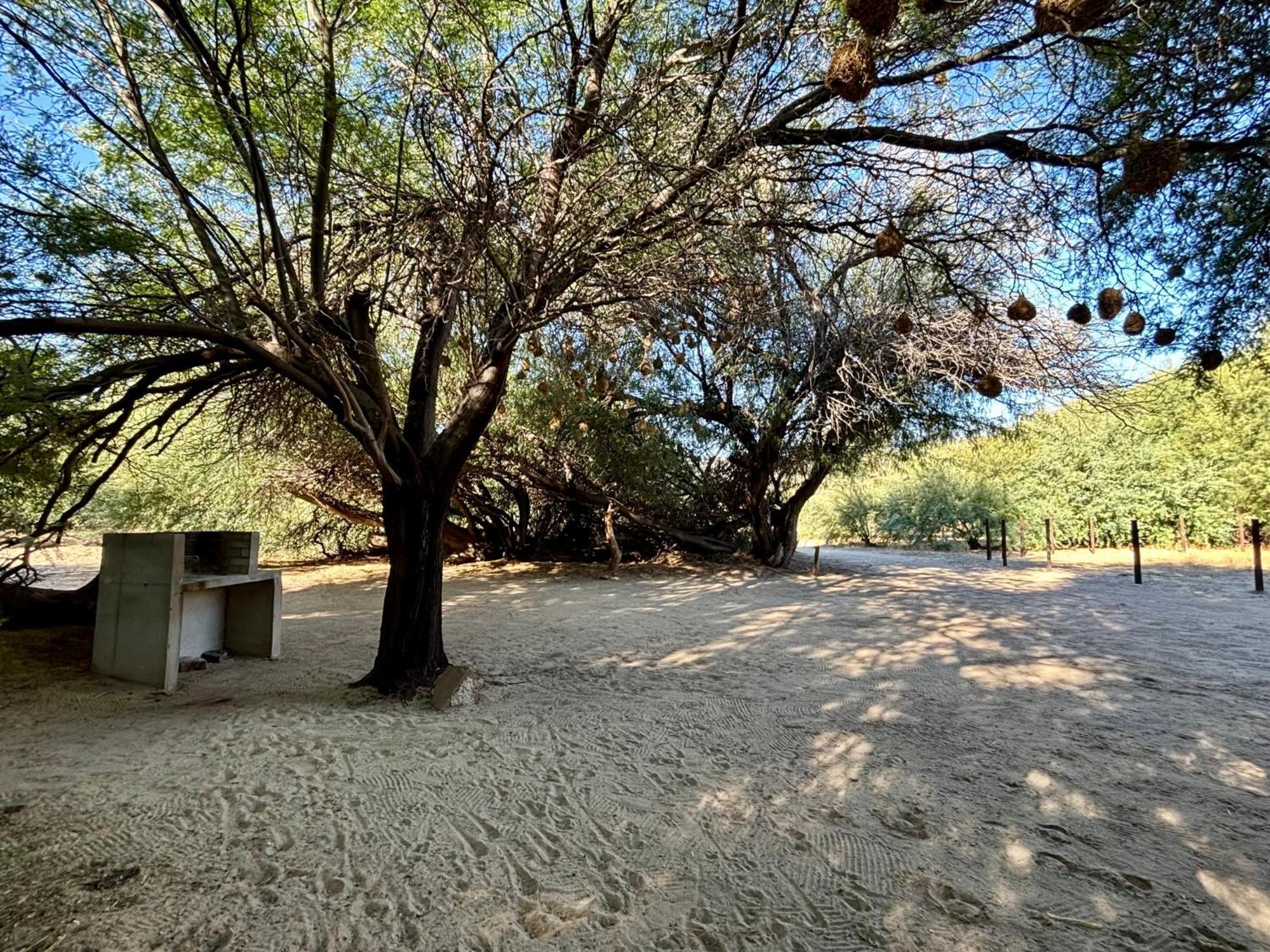 Enjo Nature Farm 克兰威廉 外观 照片